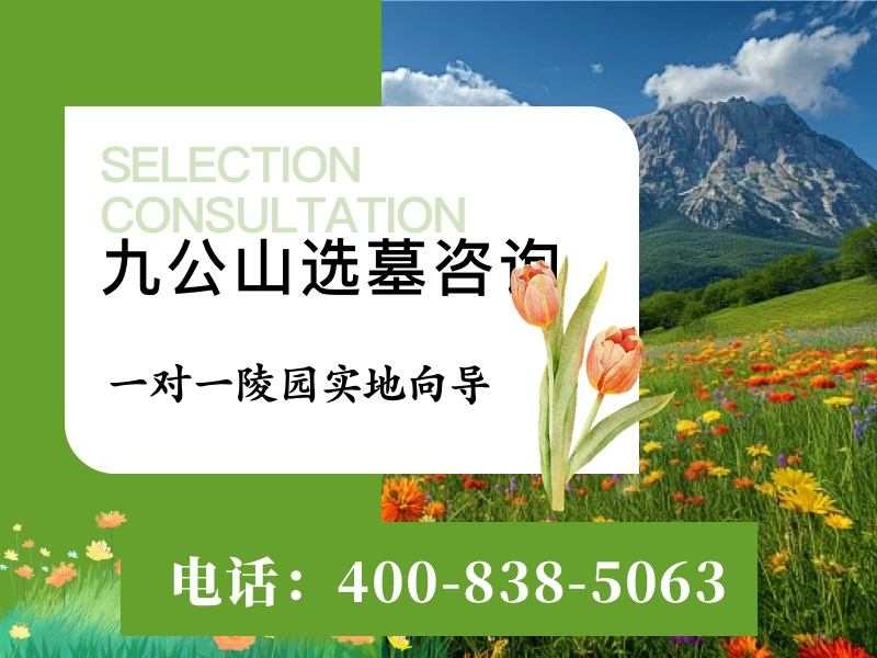 九公山长城纪念林夜里抬头能看到银河横跨长城的壮观景象